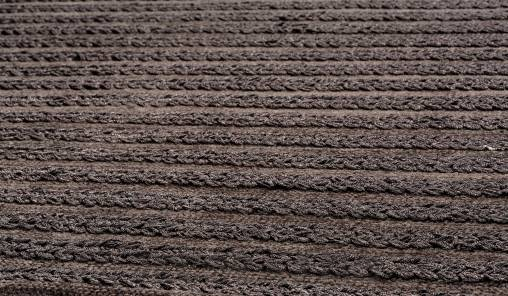 Ковер Papilio Rugs Pride - RPTOPA-1818