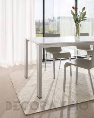 Ковер Papilio Rugs Pride - RPZEND-8000