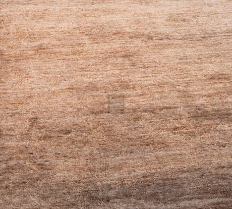 Ковер Papilio Rugs Pure - RPBMB1-8888
