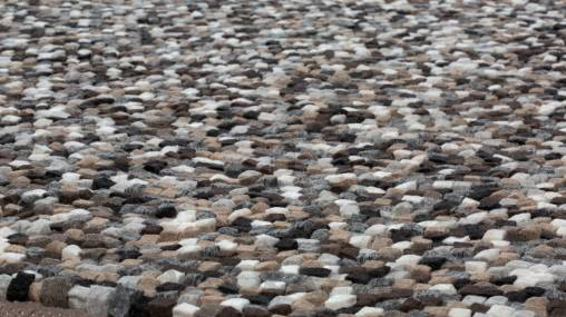 Ковер Papilio Rugs Pure - RPGRAV-4080