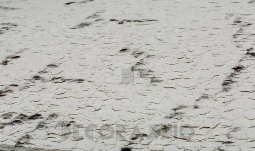 Ковер Papilio Rugs Pure - RPMARB-4000