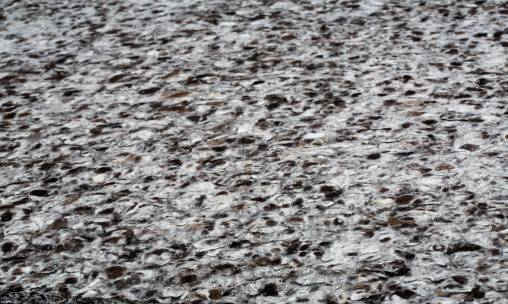 Ковер Papilio Rugs Pure - RPMARB-4400