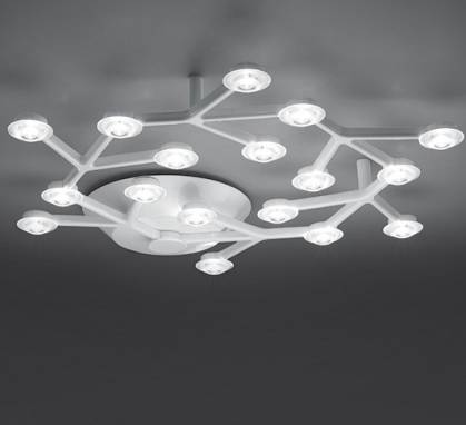 Светильник  потолочный накладной (Светильник потолочный)