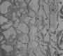 Ковер Bougainville Inspiration - Fossil macadam