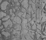 Ковер Bougainville Inspiration - Fossil macadam