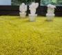 Ковер Arte Espina Shaggy Rugs - 8100-59_70