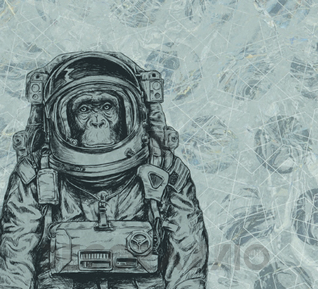 Обои Kt Exclusive Flagman Series - Vanilla Lime - 014214 Space Monkey