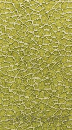 Обои Giardini Surfaces - ORG004