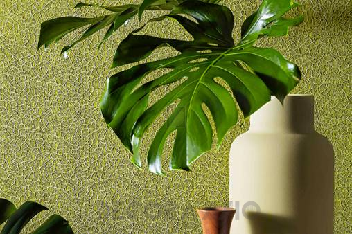 Обои Giardini Surfaces - ORG004