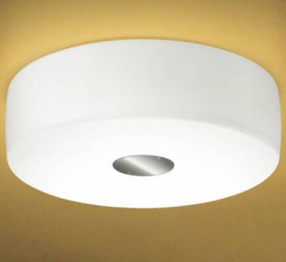 Светильник  потолочный накладной (Светильник потолочный)