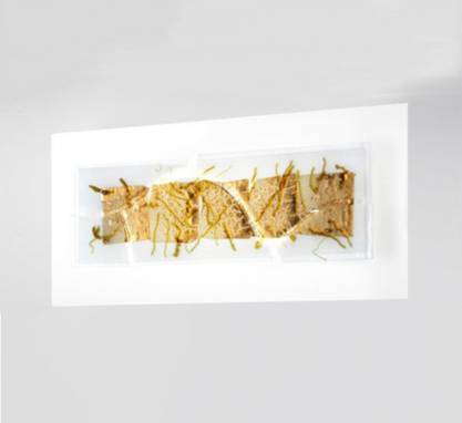 Светильник  настенный накладной (Светильник)