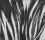 Обои Rebel Walls Patterns - Stripes - M2503-2
