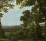 Обои Rebel Walls Nature - Forest - M2600-1