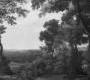 Обои Rebel Walls Nature - Forest - M2600-3