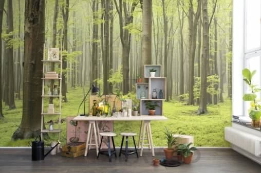 Обои Rebel Walls Nature - Forest - R10101