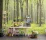 Обои Rebel Walls Nature - Forest - R10101