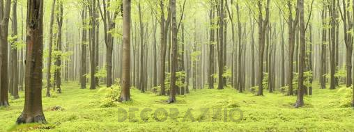Обои Rebel Walls Nature - Forest - R10101