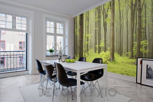 Обои Rebel Walls Nature - Forest - R10101