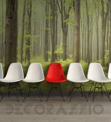 Обои Rebel Walls Nature - Forest - R10101