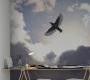 Обои Rebel Walls Nature - Wildlife - R10151
