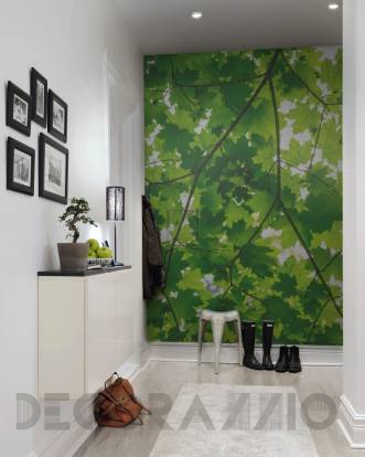 Обои Rebel Walls Nature - Forest - R10181