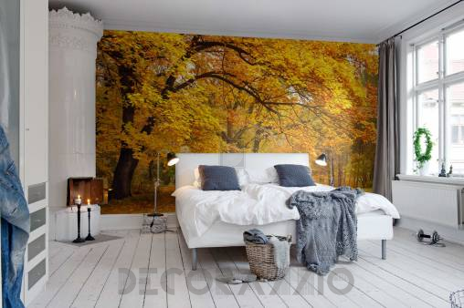 Обои Rebel Walls Nature - Forest - R10191