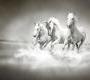 Обои Rebel Walls Kids - Animal - R10201