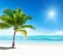 Обои Rebel Walls Nature - Ocean - R10391