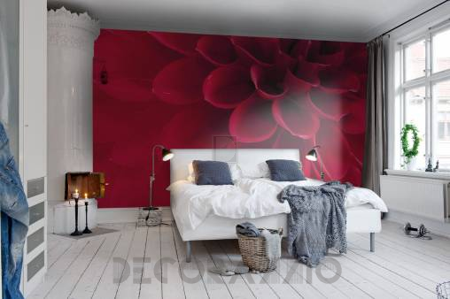 Обои Rebel Walls Floral - Close Up - R10601