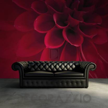 Обои Rebel Walls Floral - Close Up - R10601