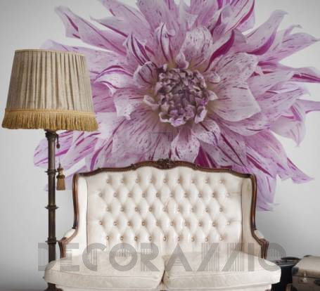 Обои Rebel Walls Floral - Close Up - R10611