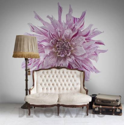 Обои Rebel Walls Floral - Close Up - R10611