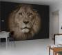 Обои Rebel Walls Kids - Animal - R11101