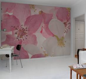 Обои Rebel Walls Floral - Close Up, R11211