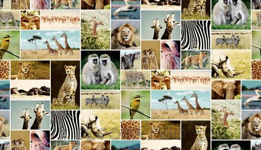 Обои Rebel Walls Kids - Animal - R11561