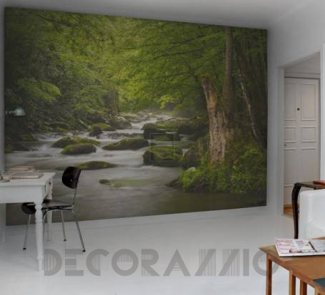Обои Rebel Walls Nature - Forest - R11921