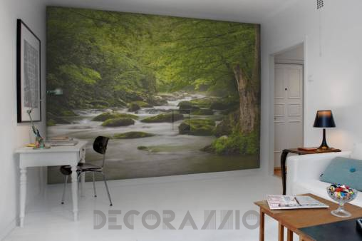 Обои Rebel Walls Nature - Forest - R11921