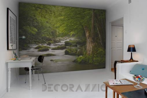 Обои Rebel Walls Nature - Forest - R11921