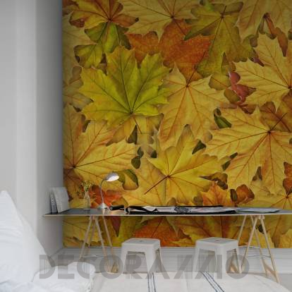 Обои Rebel Walls Floral - Leaf - R11931