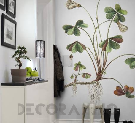 Обои Rebel Walls Floral - Close Up - R11961