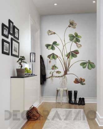 Обои Rebel Walls Floral - Close Up - R11961