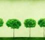 Обои Rebel Walls Nature - Forest - R12101
