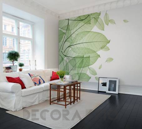 Обои Rebel Walls Floral - Leaf - R12201