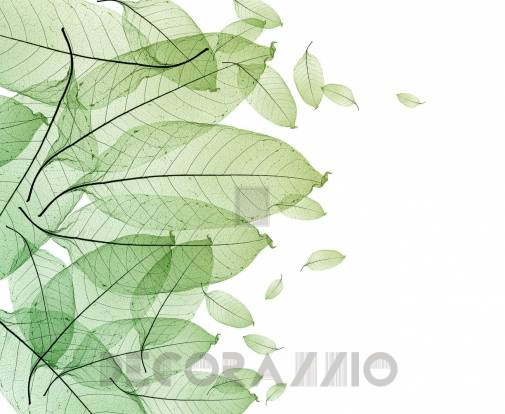 Обои Rebel Walls Floral - Leaf - R12201