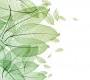 Обои Rebel Walls Floral - Leaf - R12201