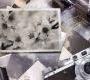 Обои Rebel Walls Hobby - Collecting - R12421