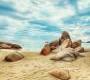 Обои Rebel Walls Nature - Ocean - R12461