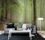 Обои Rebel Walls Nature - Forest - R12471