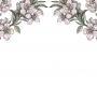 Обои Rebel Walls Floral - Close Up - R12653