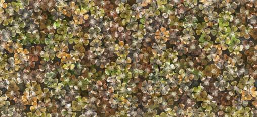 Обои Rebel Walls Floral - Flowers - R12682